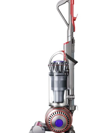 Dyson Ball Animal 3 Plus vacuum